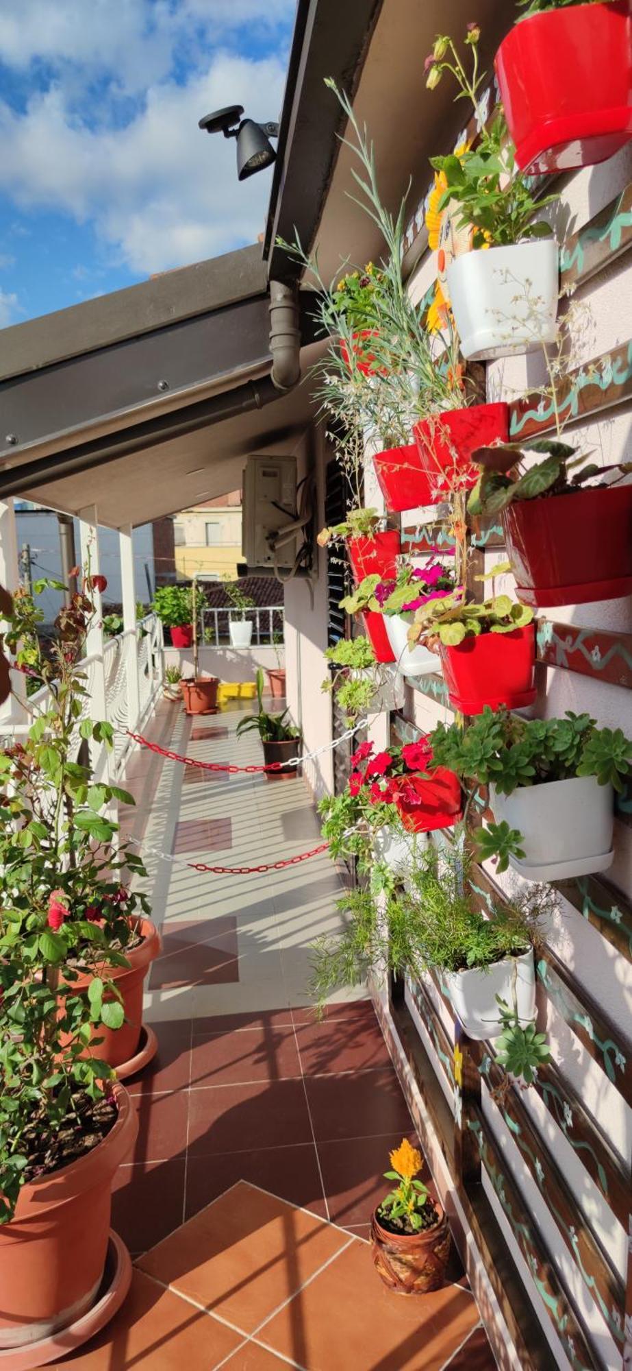 Lille France Apartments Shkodër 部屋 写真